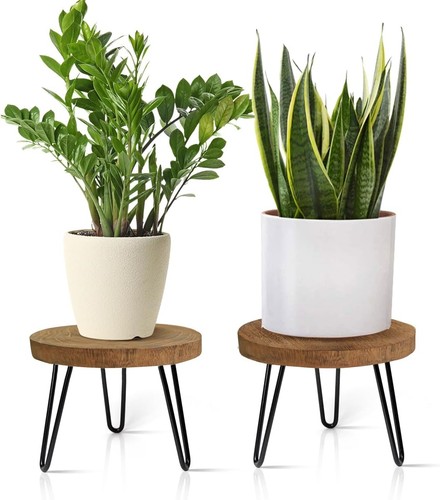 Plant stand indoor - plant, outdoor