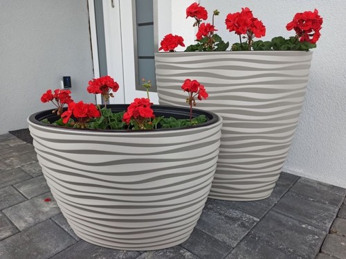 Plant pot oval ellipse - ellipse, dunes