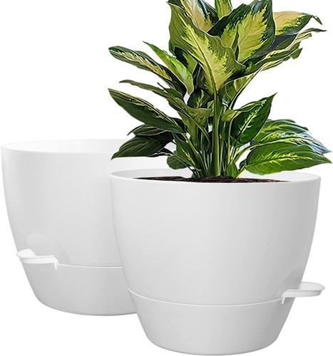 Wousiwer inch self watering - 10,
