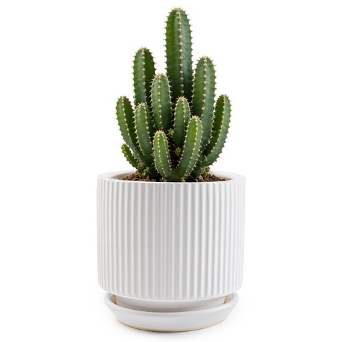 Ceramic-5.1-inch-Flower-Pots-w