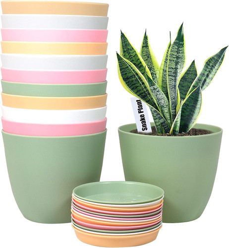 Inch plant pots - inch, pack