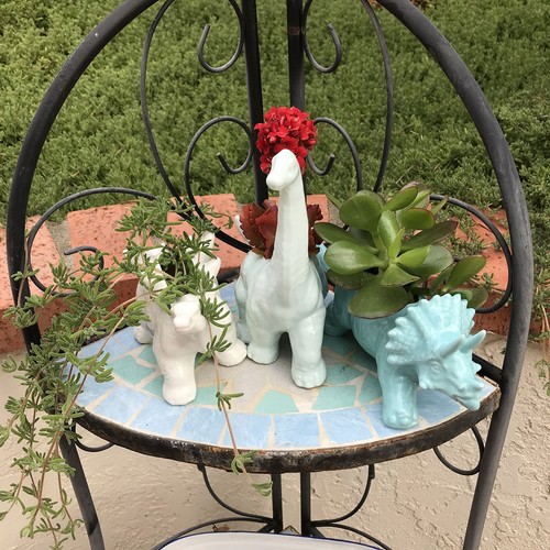 Planter for succulent - planter,