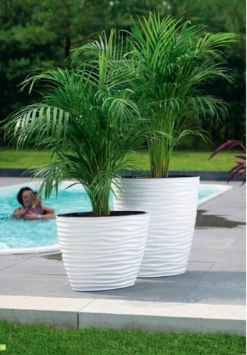 Plant pot oval ellipse - pot, dunes