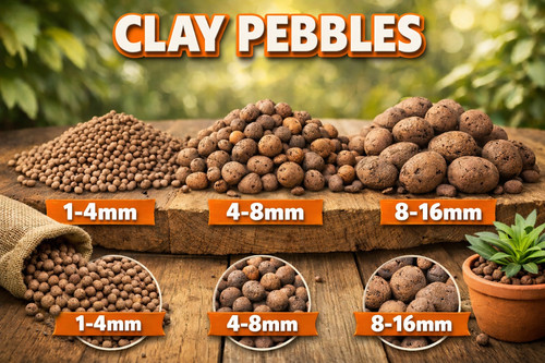 Clay pebbles natural - pebbles, aqua