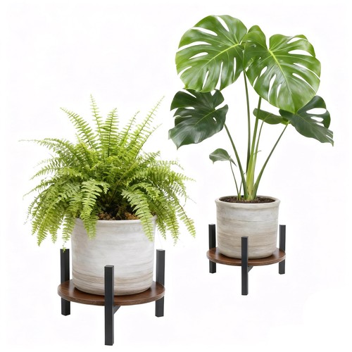 Pcs indoor plant - 2,
