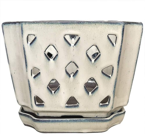 Orchid pots holes 7 inch - orchid,