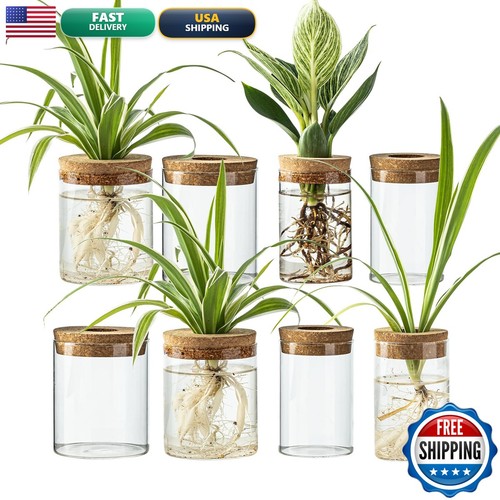 Chpindam glass propagation - chpindam,
