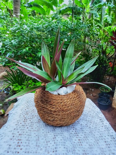 Best quolity handmade flower - quolity,