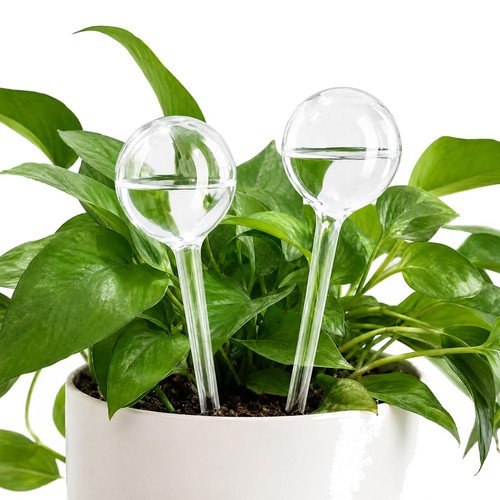 Watering globes for - globes,
