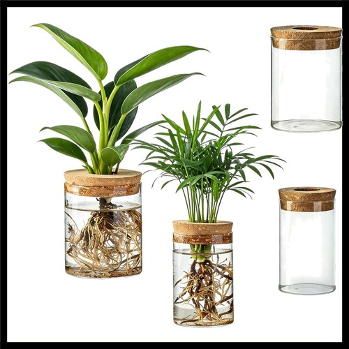 Glass propagation stations 2 - propagation,