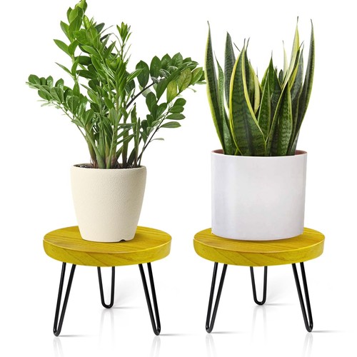 Indoor outdoor plant - outdoor, stand