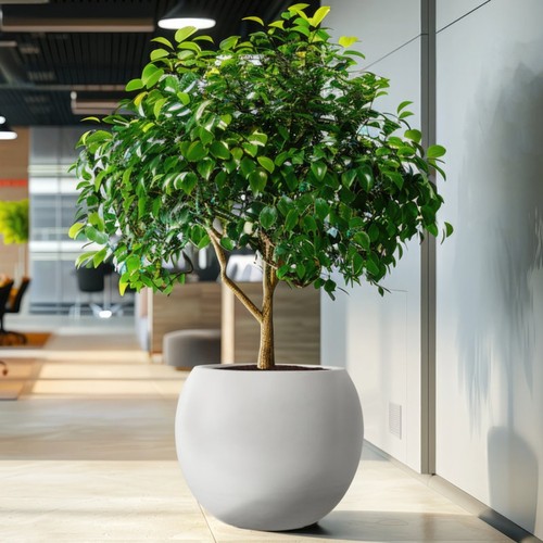 Modern round outdoor - round,